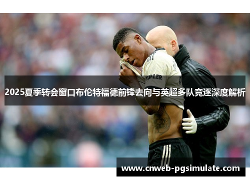 2025夏季转会窗口布伦特福德前锋去向与英超多队竞逐深度解析
